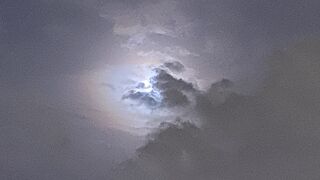 Video of Taylor white